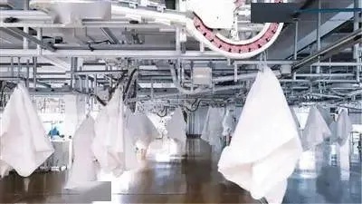 樂爾馨家紡工廠在哪里？揭秘其背后的故事與文化